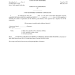 Affidavit Of Amendment Nonprofit Corporations Form Online SellMyForms