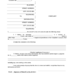 Complaint Magistrate S Court State Of South Carolina Printable Pdf