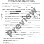 Dallas Texas Civil Process Request US Legal Forms