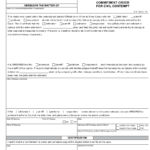 Form AOC CV 110 Download Fillable PDF Or Fill Online Commitment Order