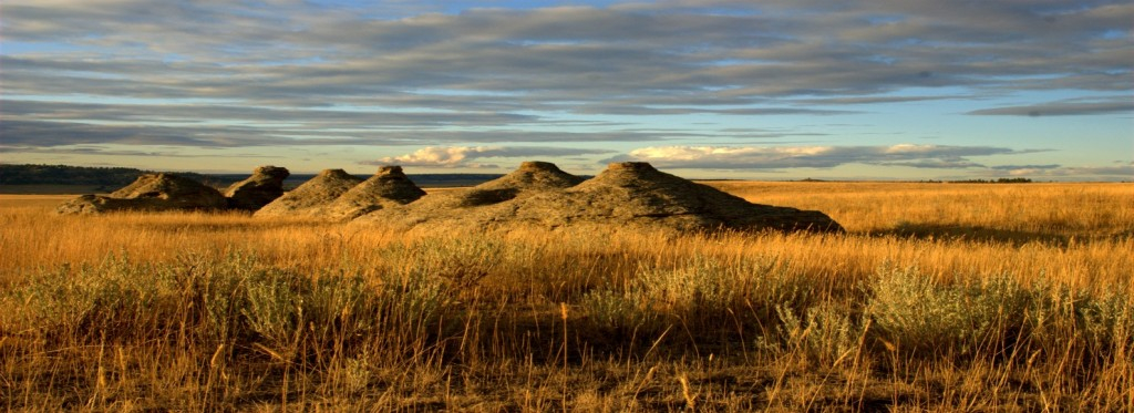 Forms Resources Carbon County