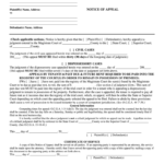 Notice Of Appeal Georgia Sample Fill Out And Sign Printable PDF