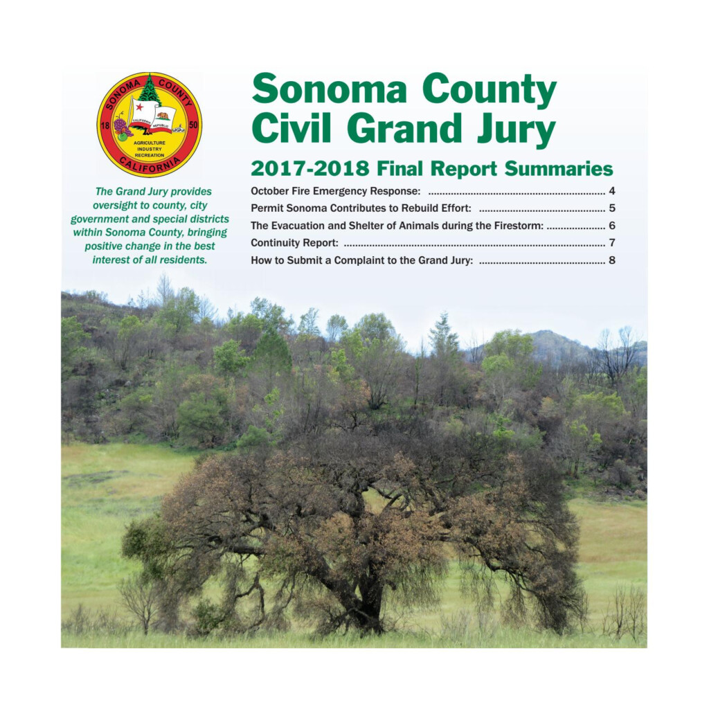 Sonoma County Grand Jury 2018 By SMIDigital Operations Issuu
