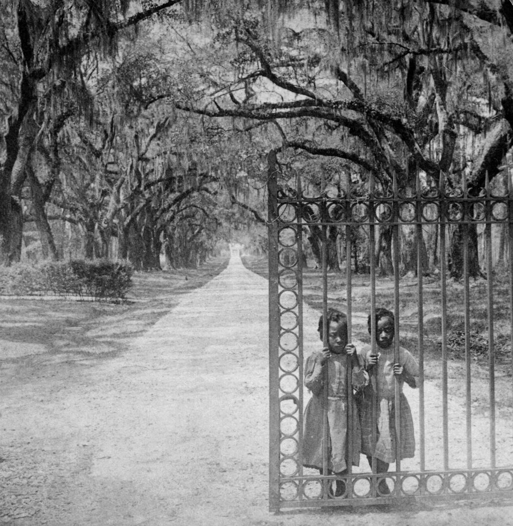 The Charleston Museum News And Events Black And White Plantation