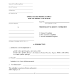 23 Sample Civil Complaint Federal Court Free To Edit Download