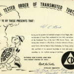 Bert The Transmuted Turtle Certificate 1952 From The Clark County