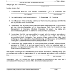 Certificate of Consent In CSC Exam CERTIFICATE OF CONSENT I StuDocu