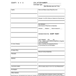 Civil Case Information Statement NJ Courts Fill Out And Sign