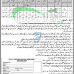 Civil Court Bannu Jobs 2023 Application Form Download