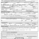 CIVIL SERVICE Form 100 PROFESSIONAL APPLICATION FOR CIVIL SERVICE