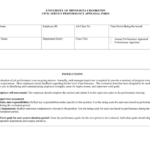 Civil Service Performance Appraisal Form