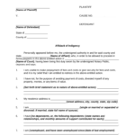 Forma Pauperis Form Fill Out And Sign Printable PDF Template SignNow