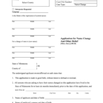 Mncourts Fill Out And Sign Printable PDF Template SignNow