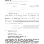 New York Notice Appeal Court Fill Online Printable Fillable Blank