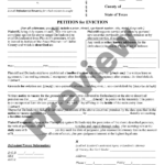 Texas Justice Court Civil Case Information Sheet And Petition For