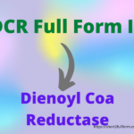 What Is The Full Form Of DCR DCR Full Form